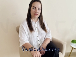 Pamelabarres