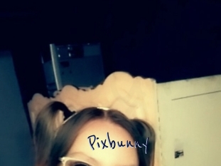Pixbunny