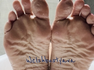 Welshbustyava